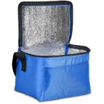 Altitude Buddy 6-Can Cooler - Image 4