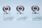 Mzalendo Crystal Award